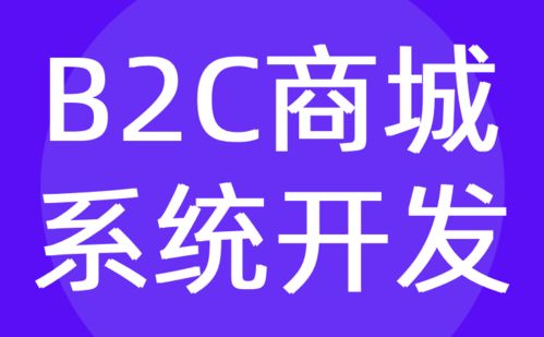 b2c商城系統開發 微信電商定制開發公司 紅匣子科技